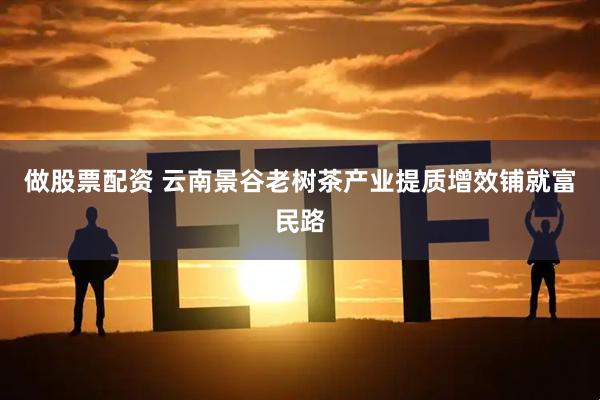 做股票配资 云南景谷老树茶产业提质增效铺就富民路