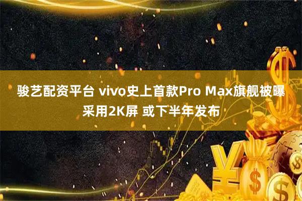 骏艺配资平台 vivo史上首款Pro Max旗舰被曝采用2K屏 或下半年发布